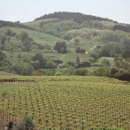 Szálloda Rural Gaintza 2*