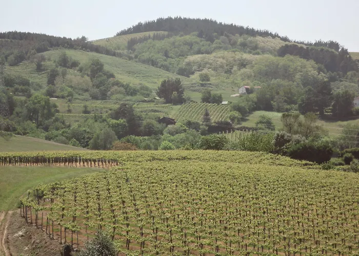 Hotel Rural Gaintza 2*